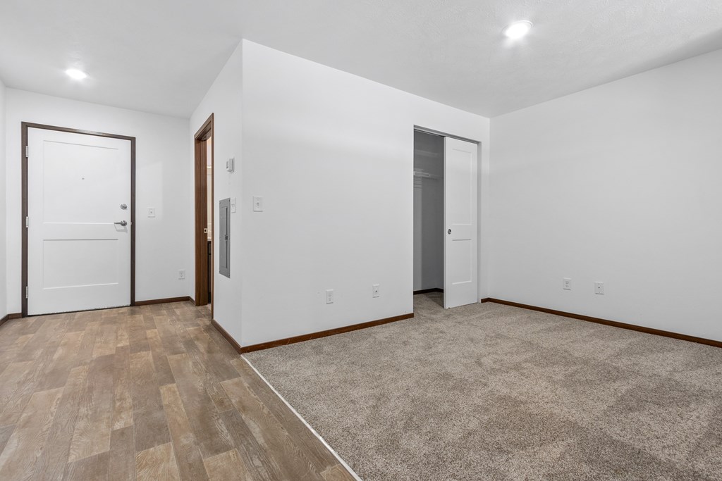 A room with white walls and a wooden floor with a rug.