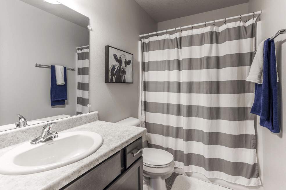 a bathroom with a sink and a toilet and a shower