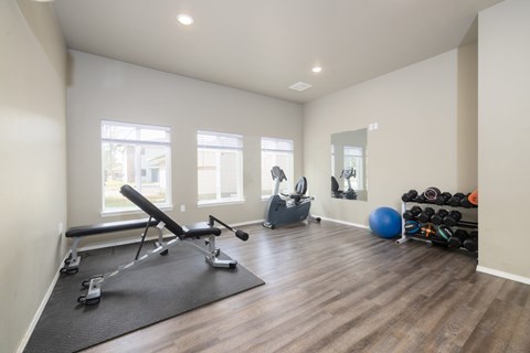 A home gym with a bench, weights, and exercise balls.