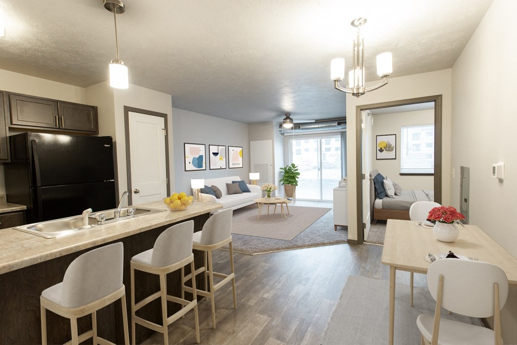 view of living room and dining room from the kitchen of an apartment