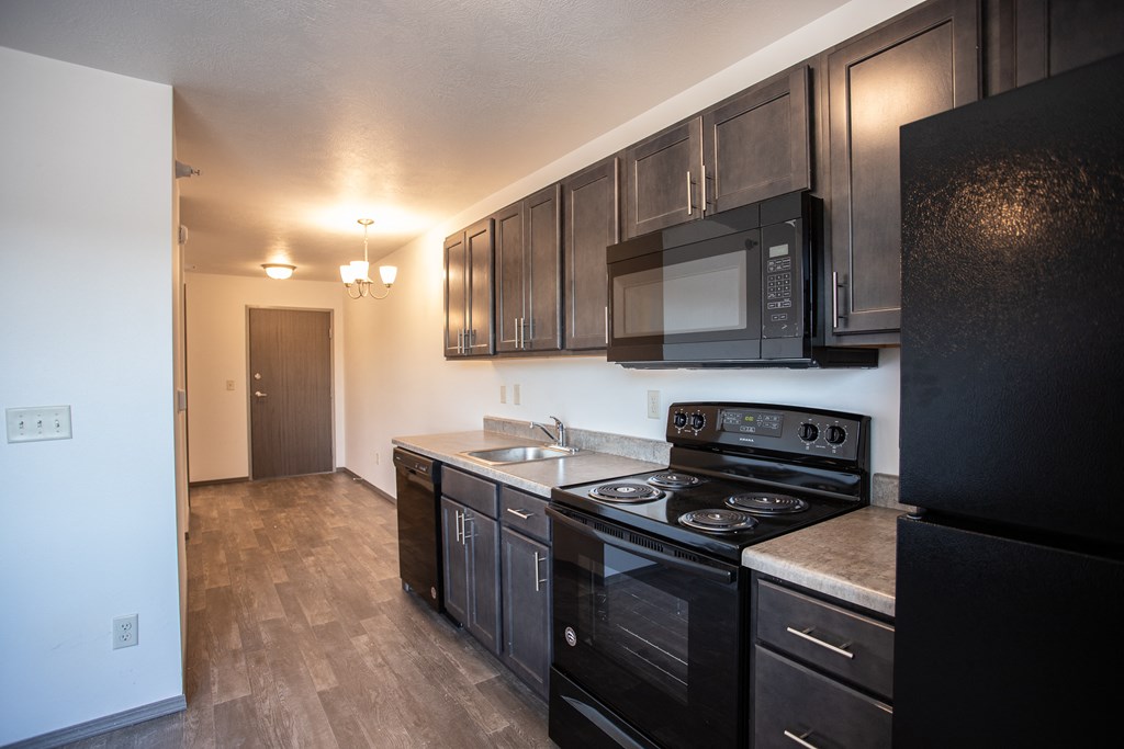 an empty kitchen with black appliances and black cabinets
