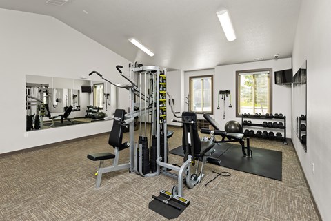A well-equipped gym with a variety of machines and weights.