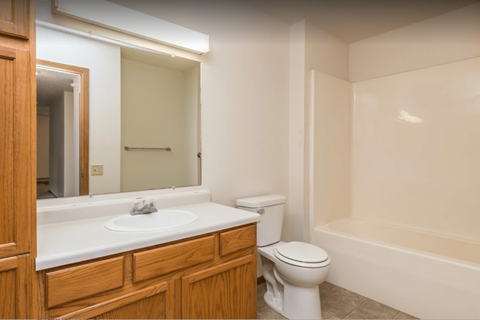 a bathroom with a sink toilet and a mirror