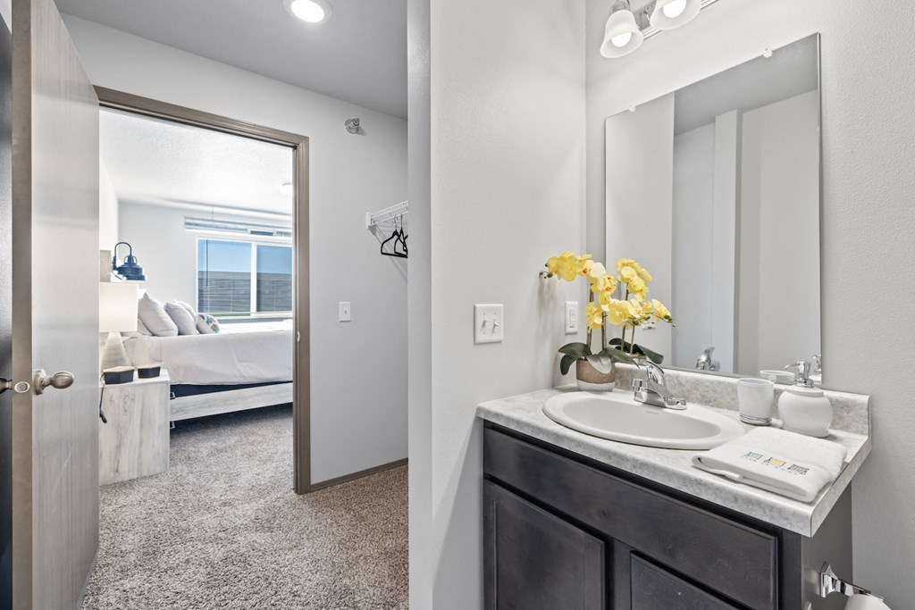 a bathroom with a sink and a mirror and a bedroom