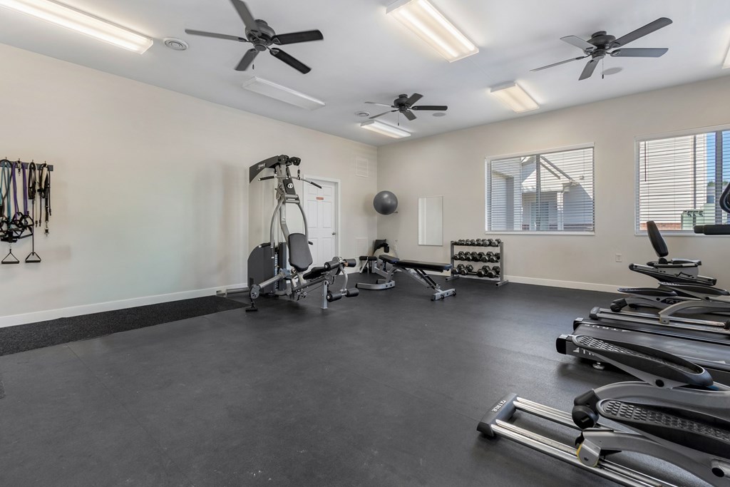 A spacious gym with treadmills, elliptical machines, and a weight rack.