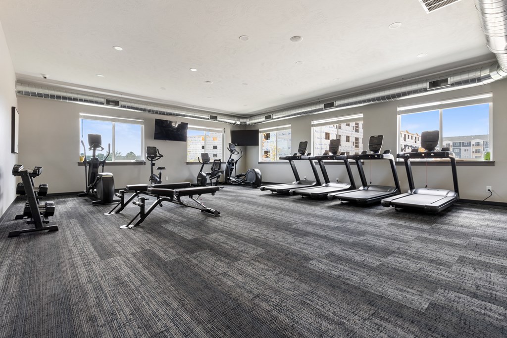 A gym with treadmills, elliptical machines, and a bench.