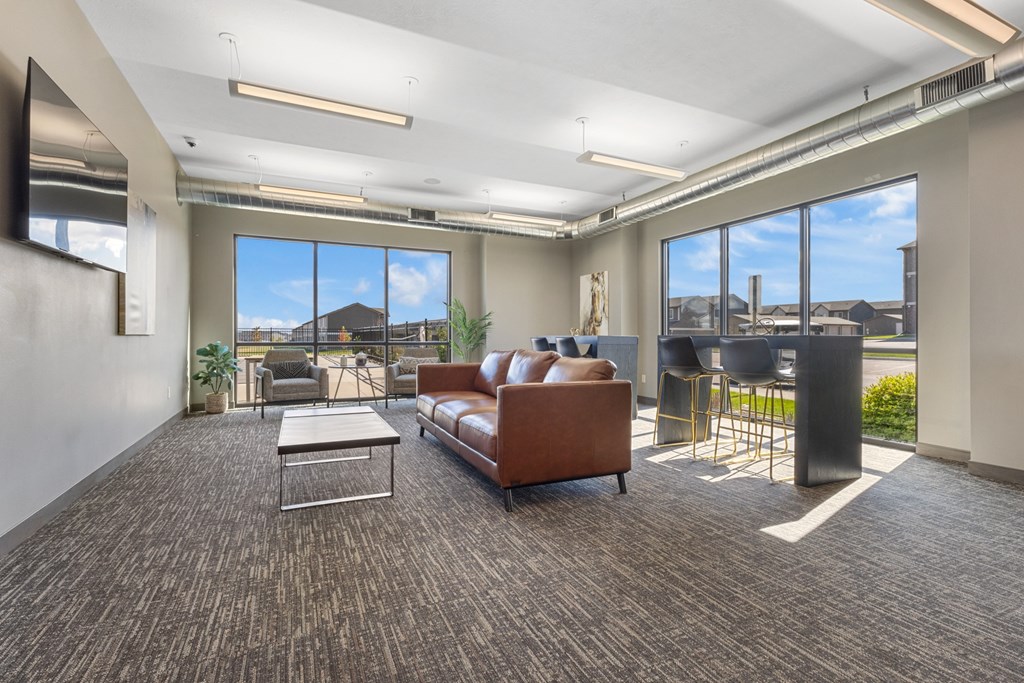 A spacious living room with a brown sofa and a grey carpet.