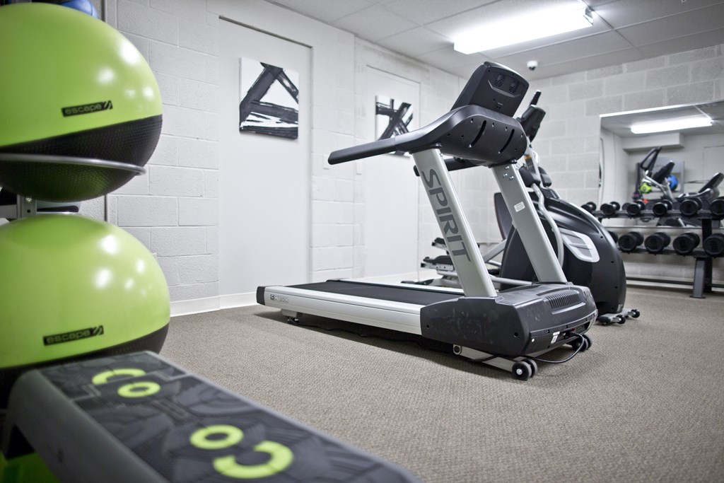A gym with a treadmill, exercise bike and weights.