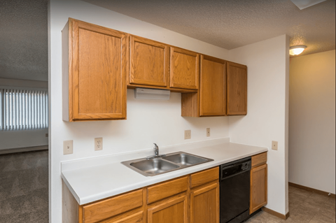 an empty kitchen with wooden cabinets and a sink