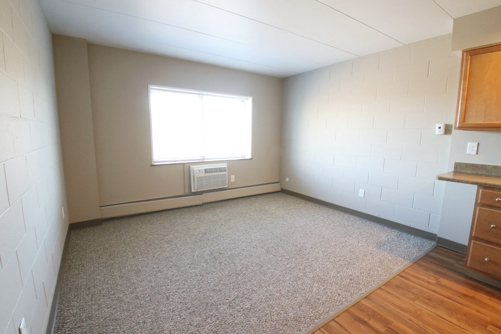 a empty room with a window and a carpeted floor