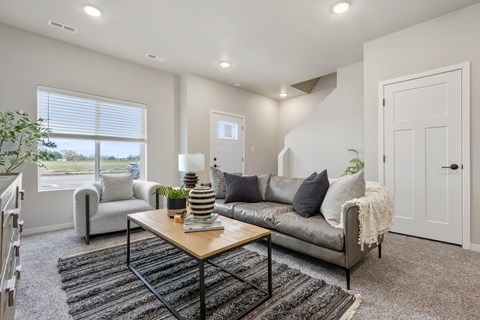 A living room with a grey couch, a wooden coffee table, and a rug.