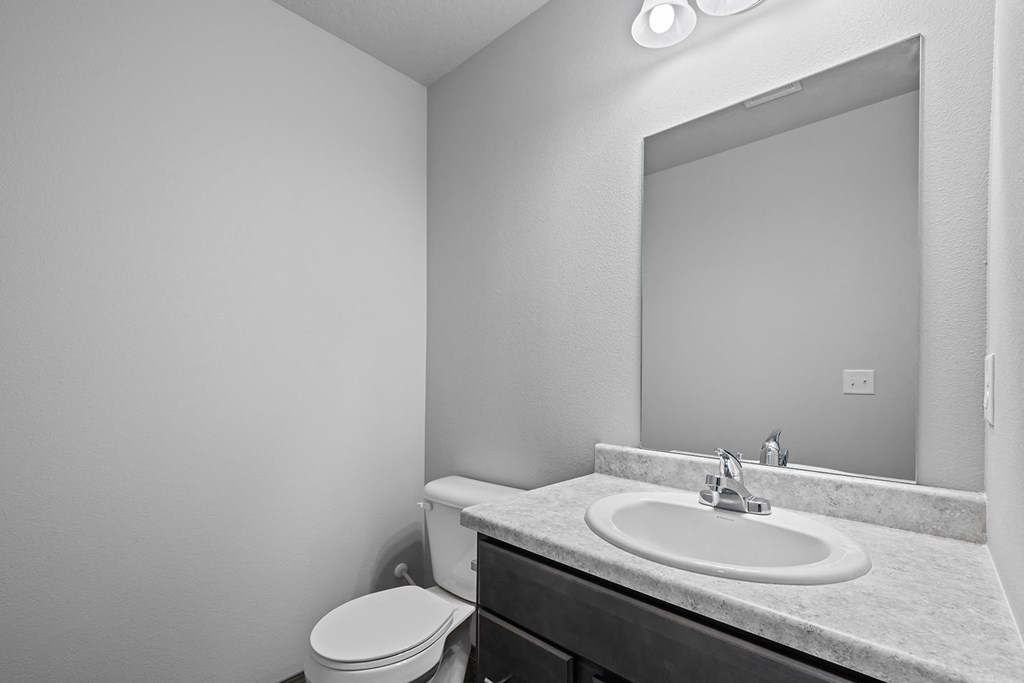 a bathroom with a sink and a toilet and a mirror