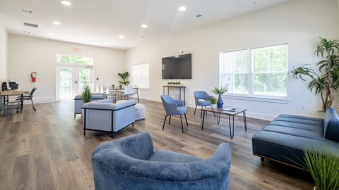 a living room with couches and chairs and a television