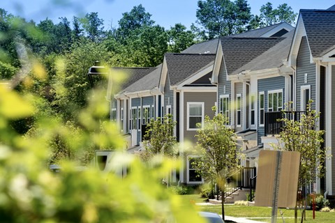 a row of houses with trees in front of them