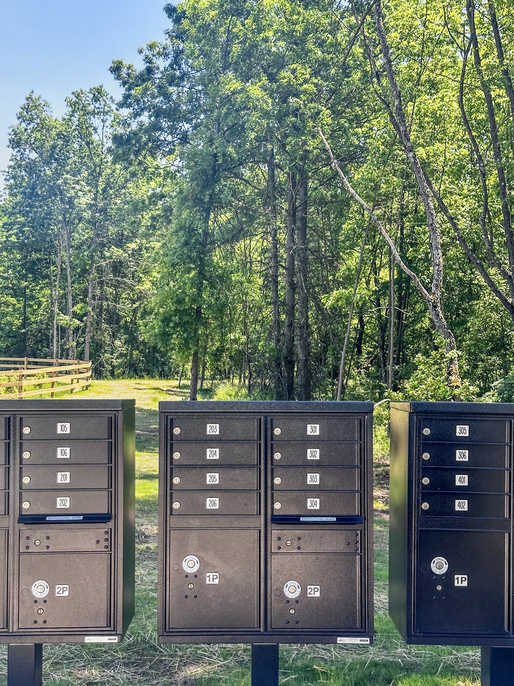 a row of mailboxes in front of a forest