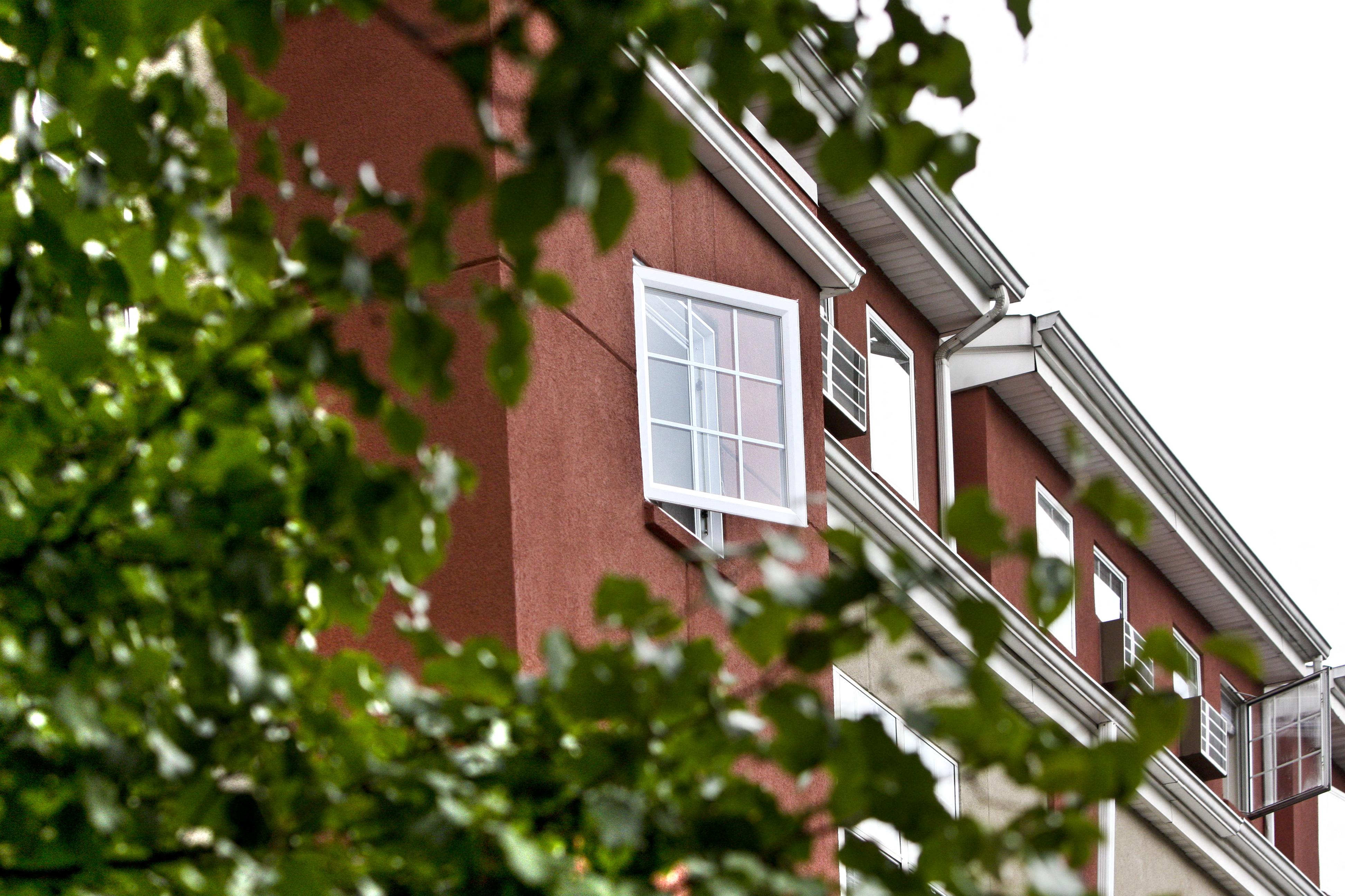 a red building with a window and a tree in the foreground