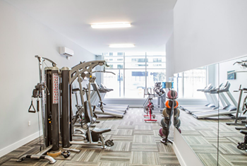 Gym and Fitness Center