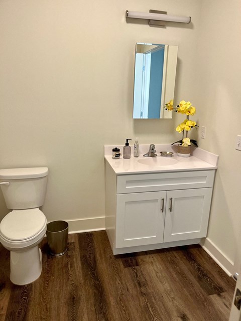 a bathroom with a toilet and a sink and a mirror