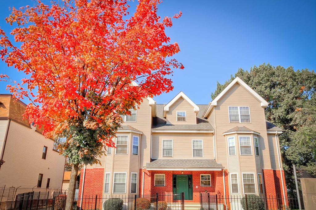 an apartment building with an orange tree in front of it