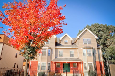 an apartment building with an orange tree in front of it