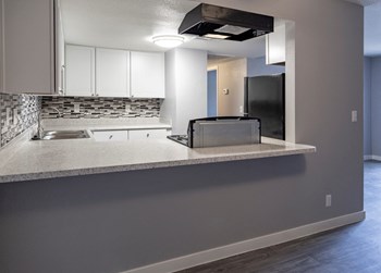5055 Tamarus Street 1-2 Beds Apartment for Rent - Photo Gallery 3