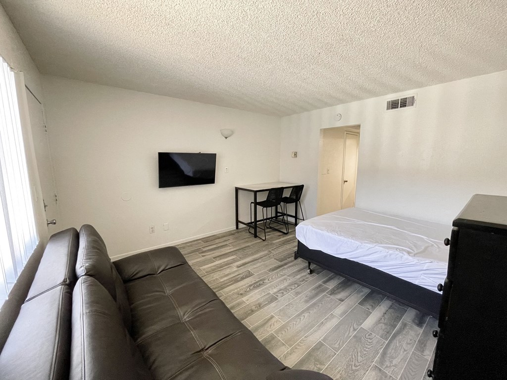 a bedroom with a couch and a bed and a tv