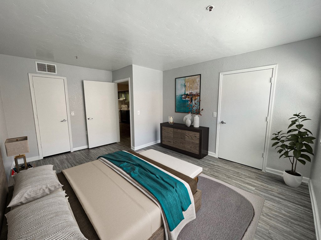 a bedroom with a bed and a rug and a closet