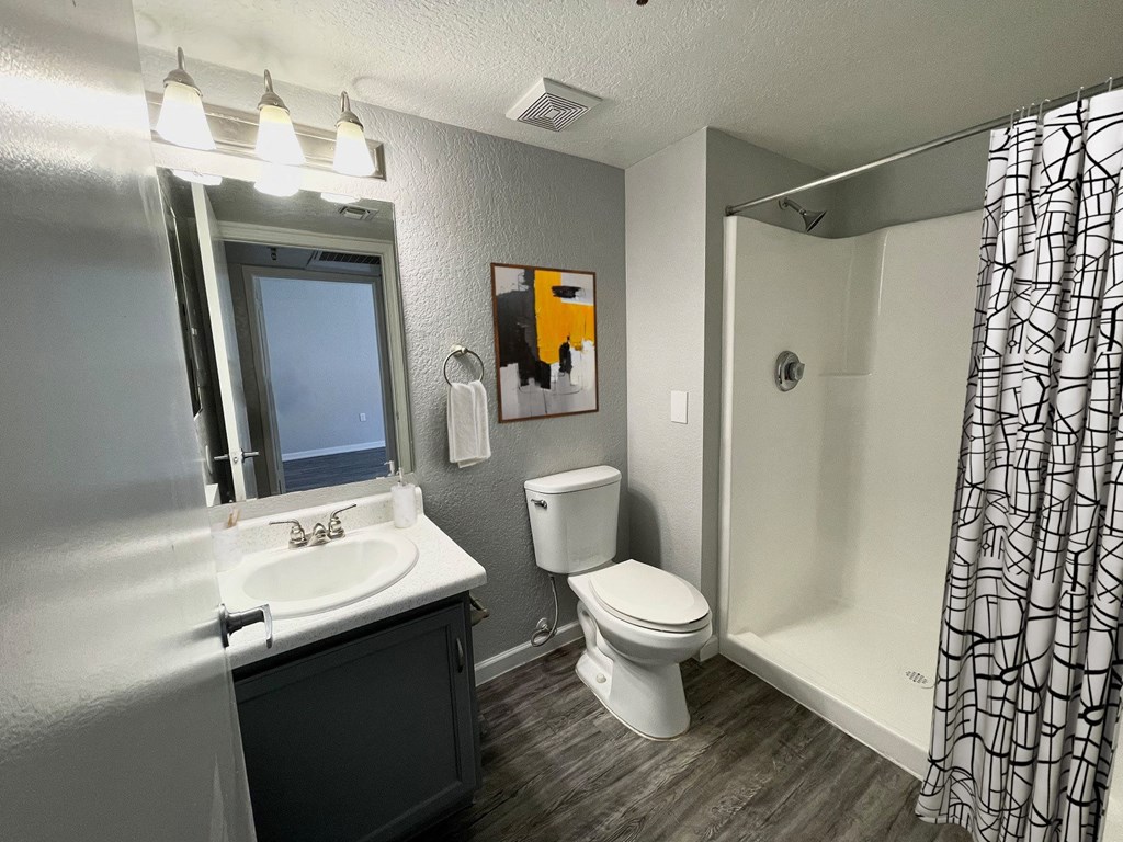a bathroom with a shower toilet and sink