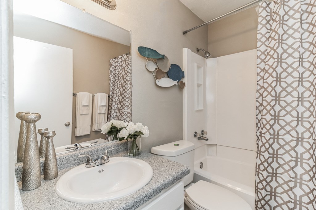 a bathroom with a sink and a toilet and a shower