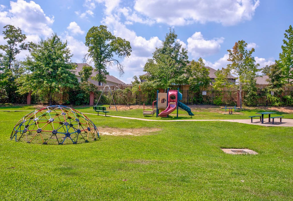 a park with a playground and a spider web