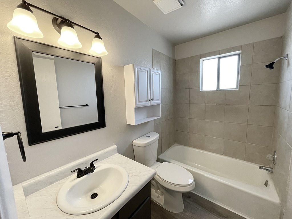 a bathroom with a sink and a toilet and a bath tub