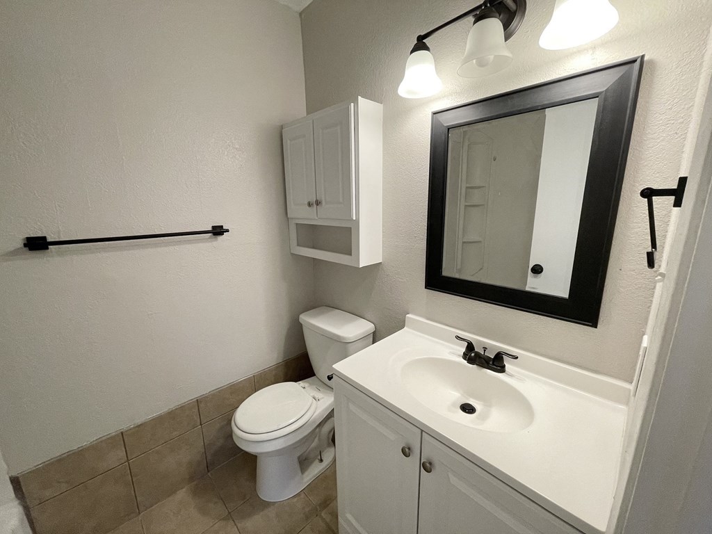 a bathroom with a sink and a toilet and a mirror