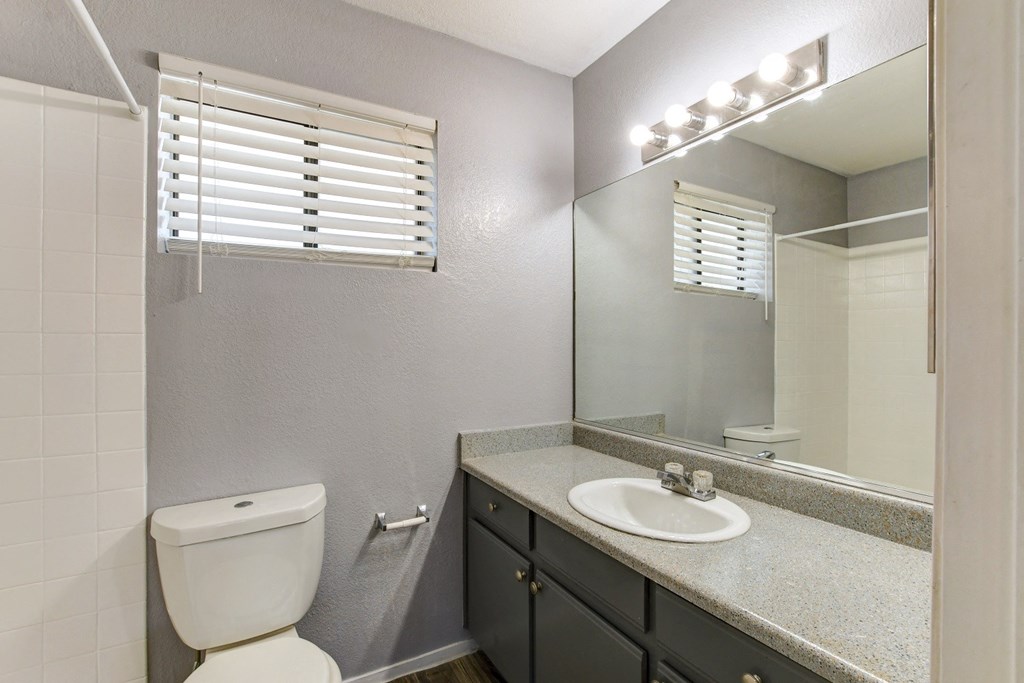 a bathroom with a sink and a mirror and a toilet