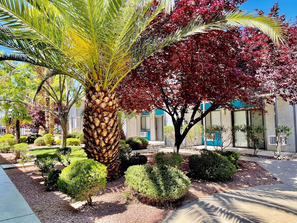 Arcadia Pointe Apartments, 4330 South Eastern Avenue, Las Vegas, NV RentCafe