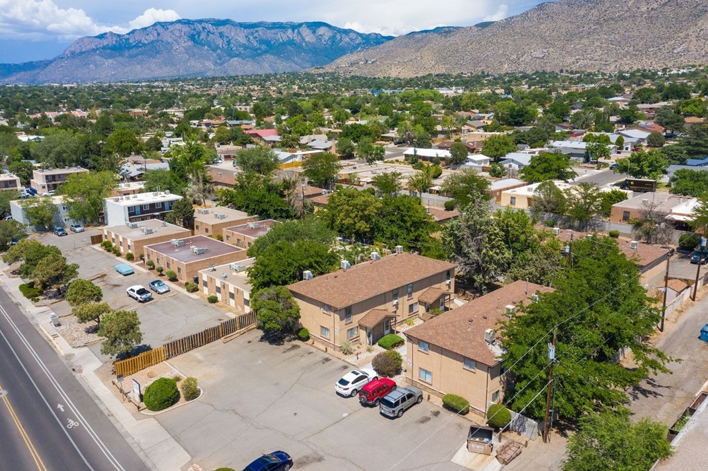 an aerial view of a subdivision of houses with trees and mountains in the background