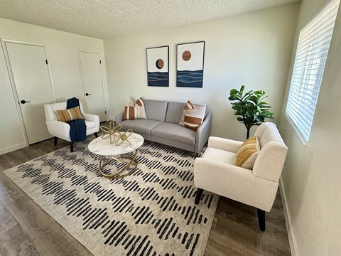 our apartments have a living room with couches and chairs