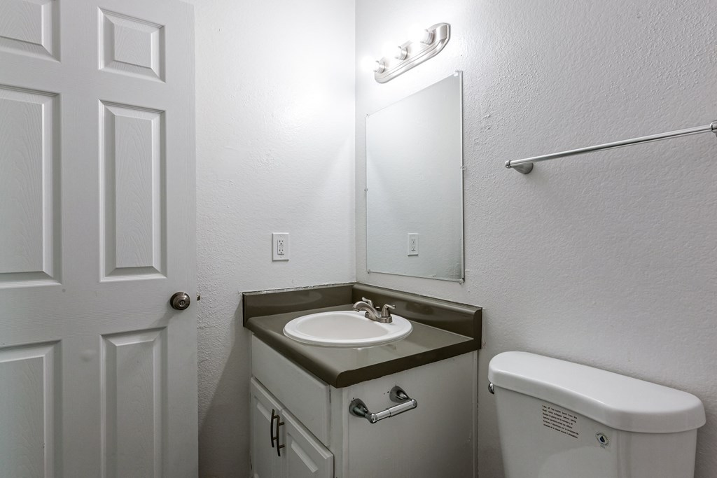 a bathroom with a sink and a mirror and a toilet