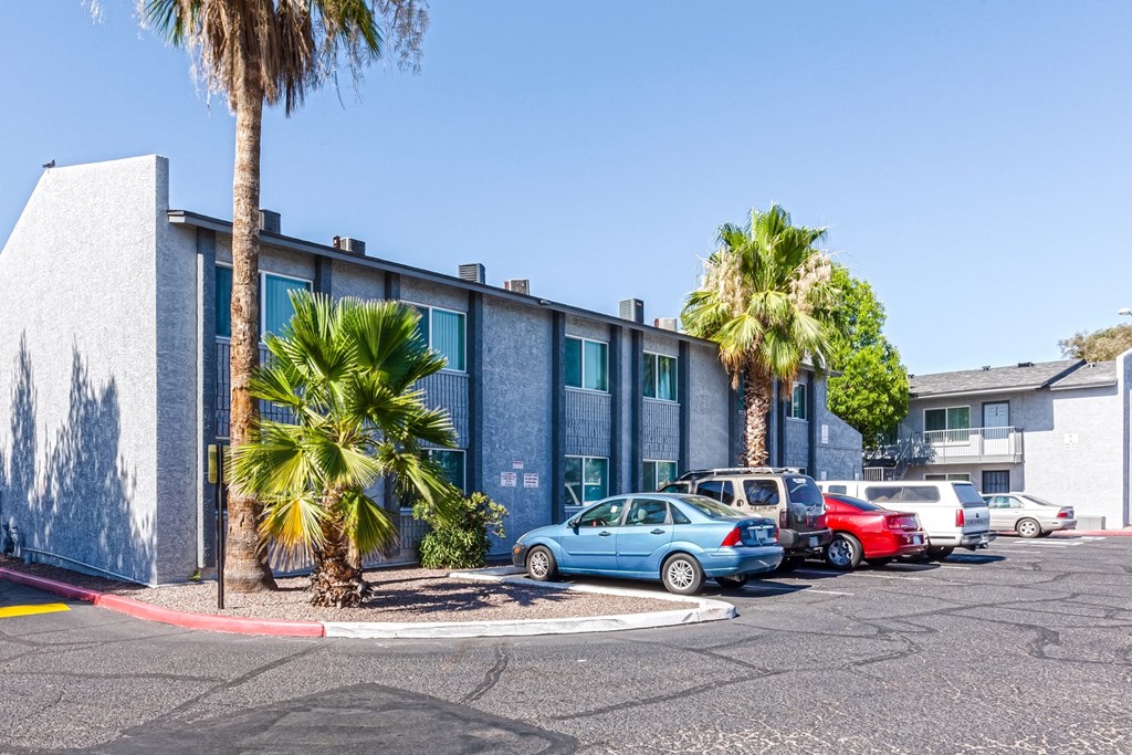 a blue building with palm trees and cars parked in front of it