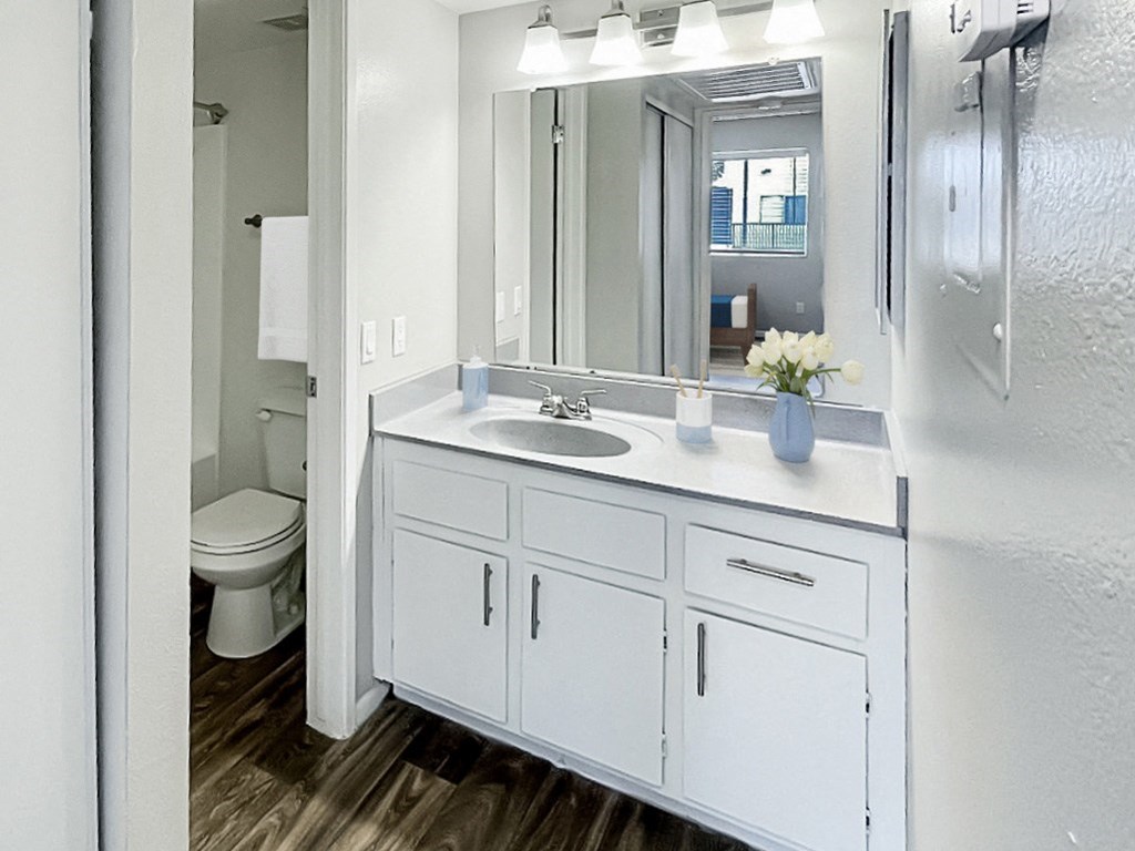 a bathroom with a sink and a mirror