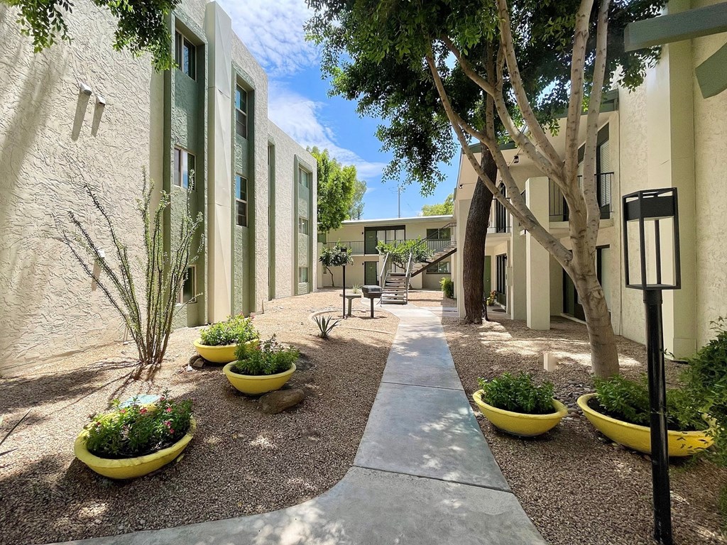 a courtyard with trees and plants in front of a building