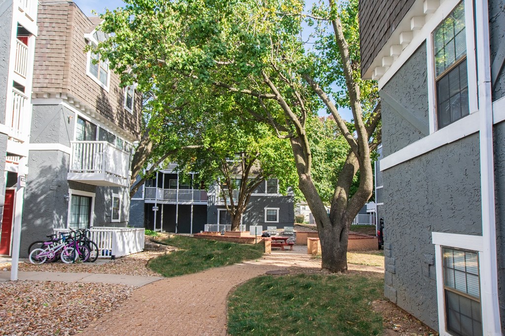 a courtyard with trees and a path between two buildings