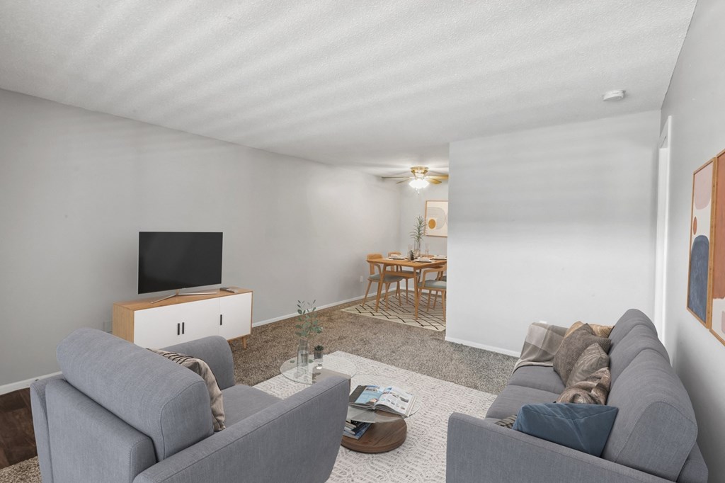 a living room with two couches and a tv