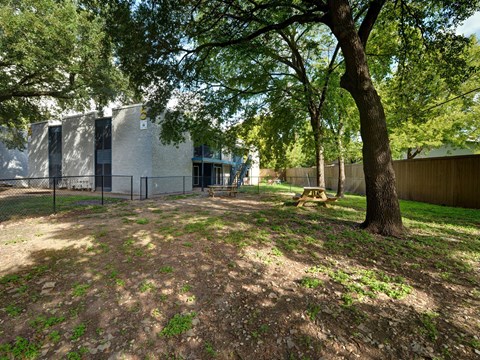 Outdoor yard with picnic table and mature trees at Azure Apartments, Austin, 78752
