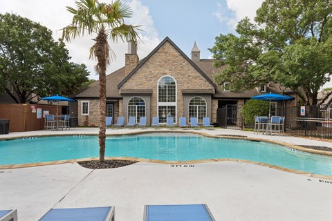 A pool area with a palm tree and a building in the background.