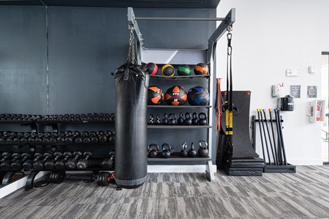 A gym with a punching bag, weights, and exercise equipment.