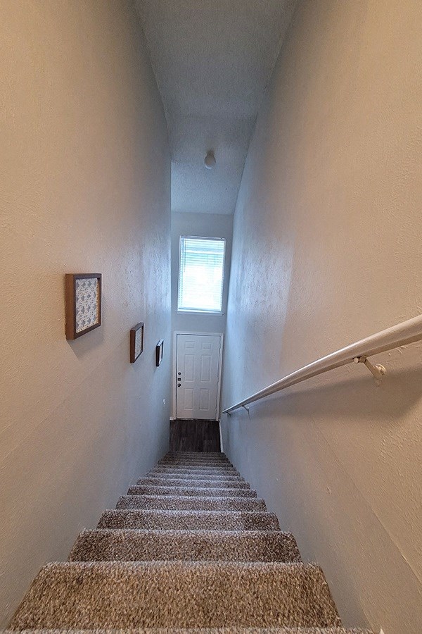 a stairway with a carpeted landing and a window on the top of it