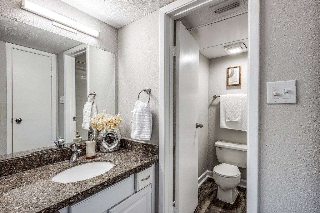 A bathroom with a sink, mirror, toilet, and a door.