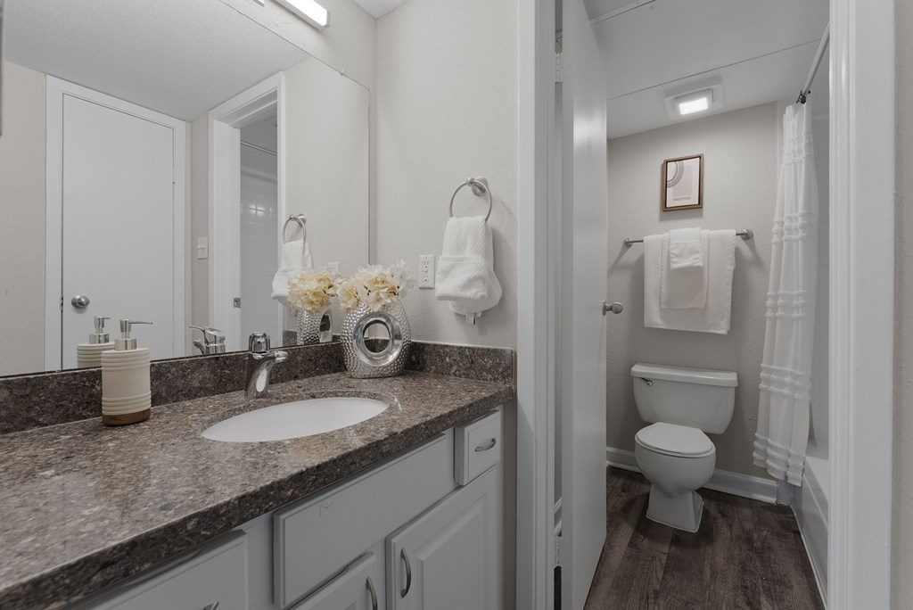 A bathroom with a sink, toilet, and a mirror.