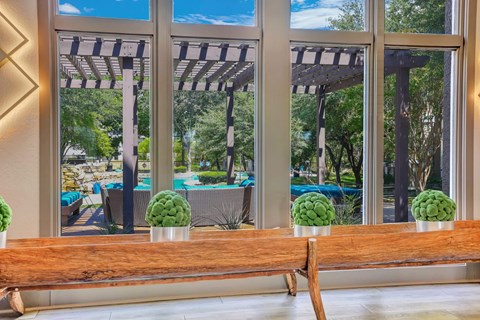 A wooden bench with three green plants on it in front of a window with a view of a pool and trees.