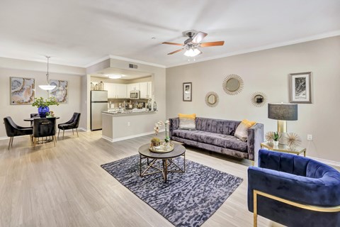 A living room with a grey sofa and a blue armchair.